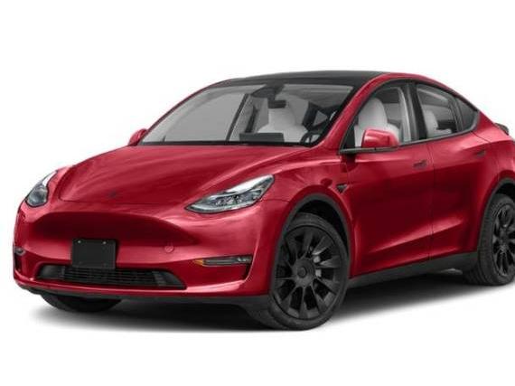 TESLA MODEL Y 2024 7SAYGAEE7RF155011 image